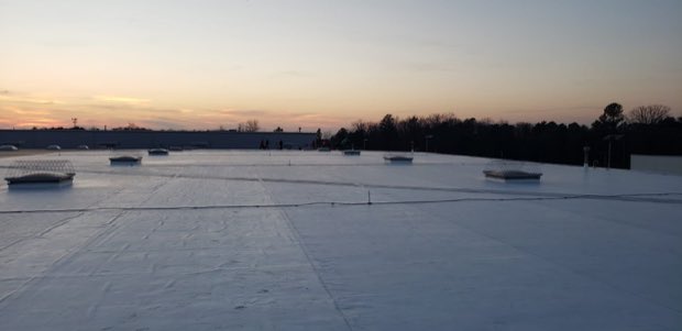 Last light across a completed membrane field.