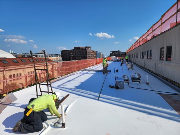 Membrane being rolled out across the prepared substrate.