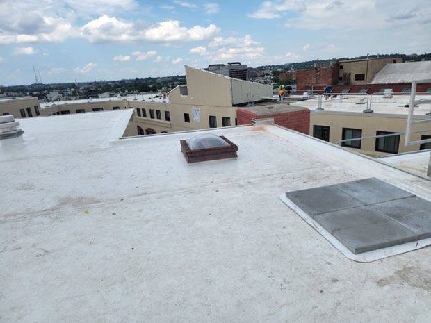 Skylights across a completed roof, city skyline behind.