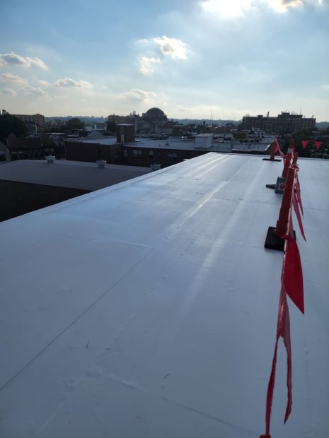 Membrane field with perimeter stanchions in place.