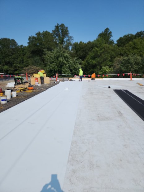 Crew working a roof edge with mature canopy behind.