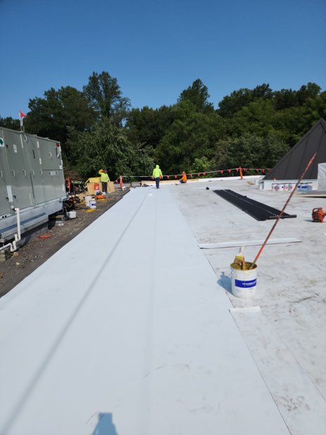 Transition between reflective and dark membrane sections.